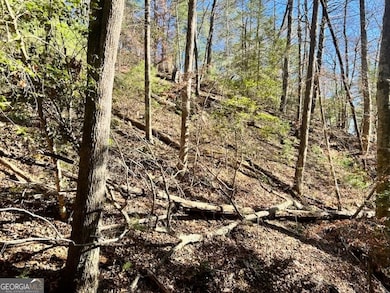 0 Corinth Church Rd unit 10656398, Cleveland, GA 30528 - photo 4