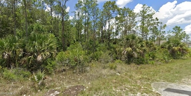 1917 Holyoke Ave, Lehigh Acres, FL 33972 - photo 2