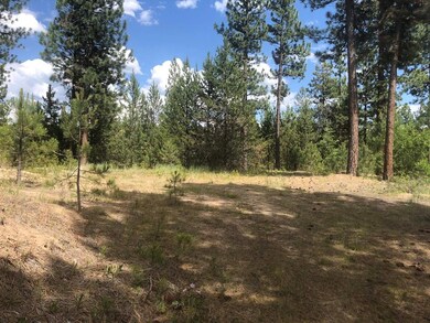 Level Driveway Leads to Elevated Pad Site