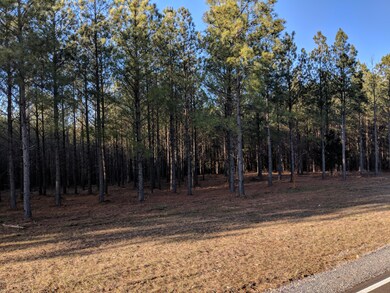 2575 River Bluffs Dr, Jasper, TN 37347 - photo 4