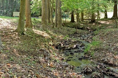 The creek at the community park