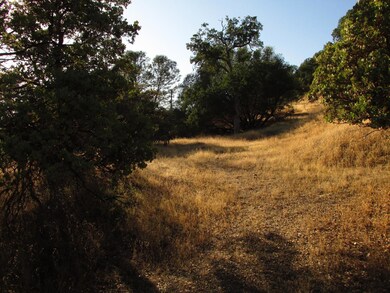 View of lower 'show pad', which is between both potential access areas.