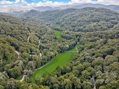 377 McKinney Gap Dr unit 377, Mars Hill, NC 28754 - photo 7