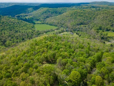 14.79 AC Issacs Pass, Cookeville, TN 38506 - photo 4