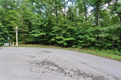 N Shivas Crest Lot 59IMG_0072