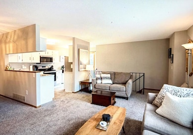 7610 15th Street Ln N unit 907, Saint Paul, MN 55128 - photo 7