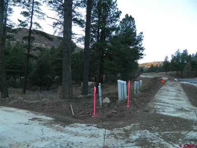 0 Wood Rose Ln unit 726618, Durango, CO 81301 - photo 3