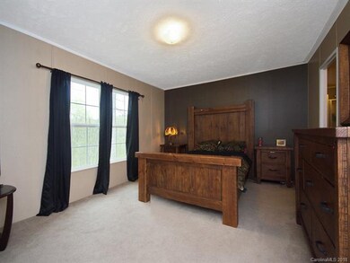 118 Peaceful Valley Dr, Leicester, NC 28748 - photo 5