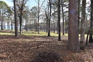 Tract 8 Sunnyside of the Bay, Fairfield Bay, AR 72088 - photo 3