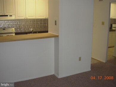 2619 Redcoat Dr unit 229, Alexandria, VA 22303 - photo 2