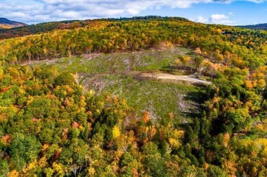 129 Rankin Rd, Bristol, NH 03222 - photo 5