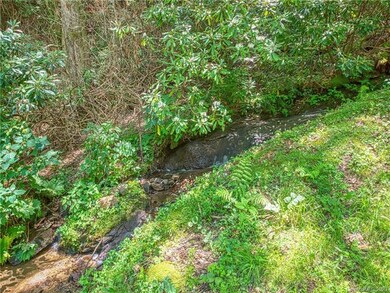 Rushing stream, and small waterfalls