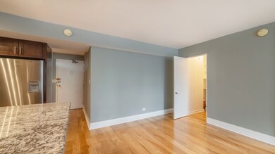 unlisted-address, Chicago, IL 60611 - photo 5