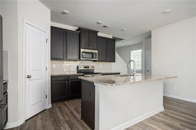 Kitchen featuring stainless steel appliances, a sink, dark wood-type flooring, and a center island with sink