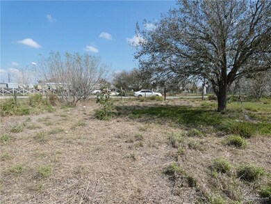 1153 S Whalen Rd, Alamo, TX 78516 - photo 2
