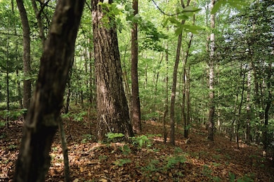 Tract 1 Century Ln, Blue Ridge, GA 30513 - photo 5