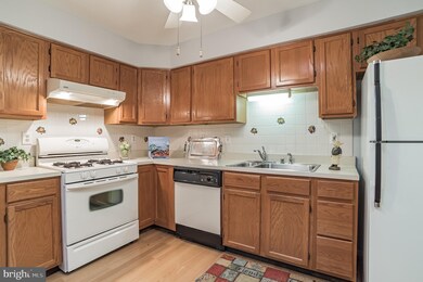 904 Beacon Way, Annapolis, MD 21401 - photo 7