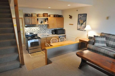 8 Fall Line Dr unit N201, Newry, ME 04261 - photo 4