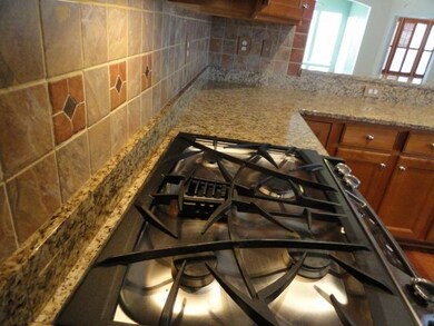 Stove/Back Splash