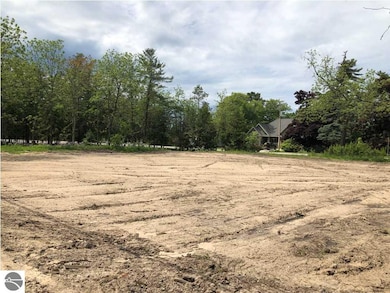 173 Ottawa, Elk Rapids, MI 49629 - photo 6