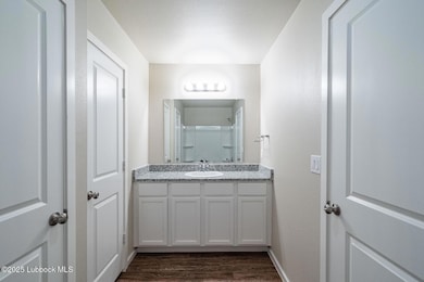 Primary Vanity
