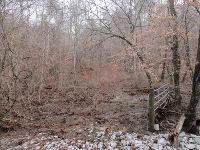 0 Corbin Lake Rd unit 1118174, Rutledge, TN 37861 - photo 3