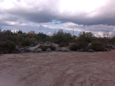 Vacant Land 3