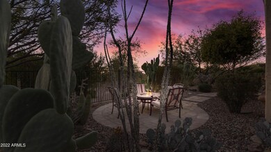 IMG_6817