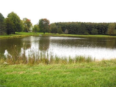 6200 N River Rd W, Geneva, OH 44041 - photo 4