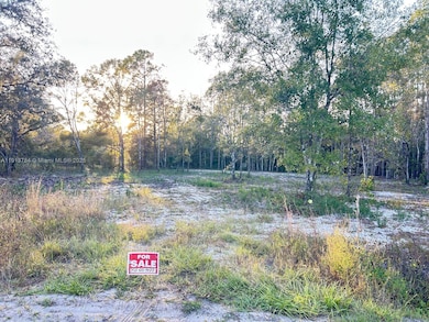 9855 Light Ave, Saint Augustine, FL 32145 - photo 5