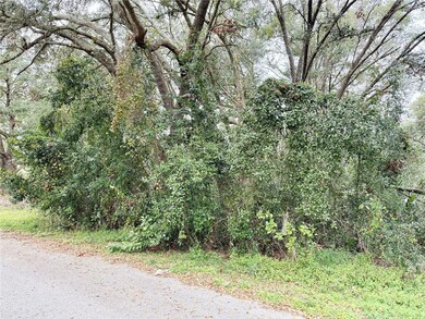 0 Hilda Rd unit MFRTB8334007, Ridge Manor, FL 33523 - photo 5