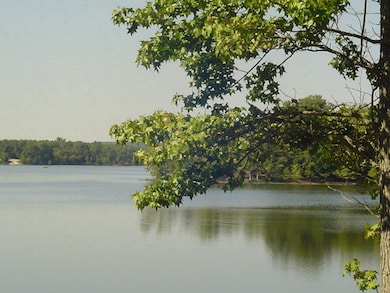 0 River Oaks Lot 19, Big Sandy, TN 38221 - photo 4