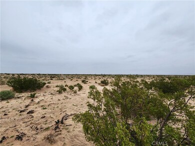 3 AC Fairview Rd, Newberry Springs, CA 92365 - photo 3