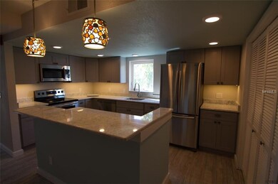 50 84th Ave unit 2, Treasure Island, FL 33706 - photo 4