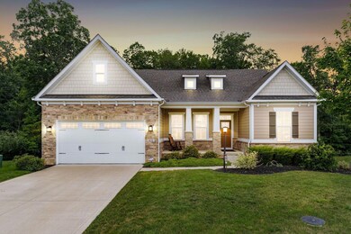 1878 Timber View
