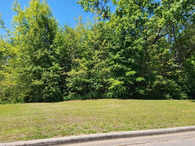 Lot 17 Derby Creek