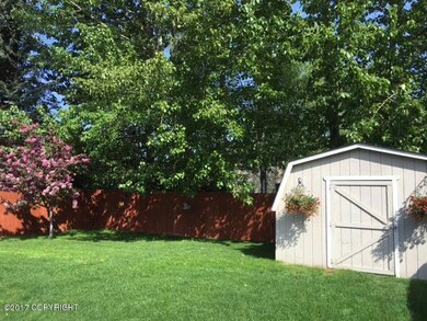 Backyard Summer