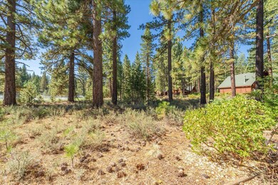 11296 Wolverine Cir, Truckee, CA 96161 - photo 6