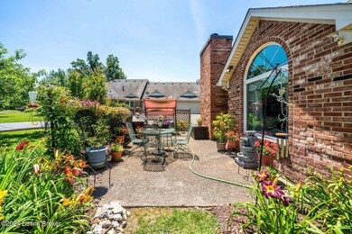 Lilies Around the Patio