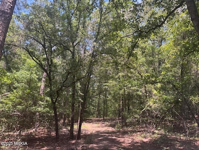 0 Salix Ln, Macon, GA 31216 - photo 3