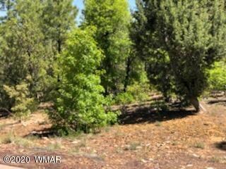 1825 S Pleasantview Dr, Show Low, AZ 85901 - photo 2