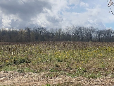 00 Works Rd, Crutchfield, KY 42041 - photo 3