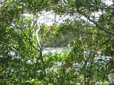 0 Chadwick Landing Dr SW, Shallotte, NC 28470 - photo 4