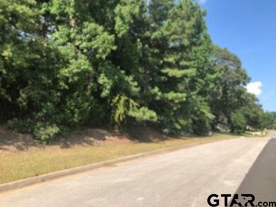 2060 Equestrian Ln, Tyler, TX 75703 - photo 4