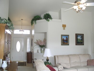 Plant shelves