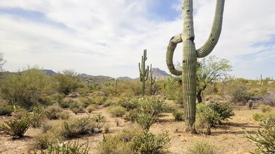 Mountain Views Large Flat Lot (2)