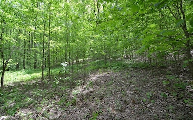 Additional View