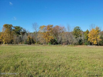 545 Locust Grove Rd, Greenfld Ctr, NY 12833 - photo 2