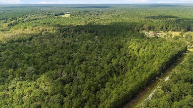 130 Tygerpaw Trail, Saint Stephen, SC 29479 - photo 7