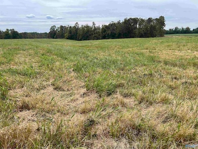 7 Holland Rd, Athens, AL 35614 - photo 3